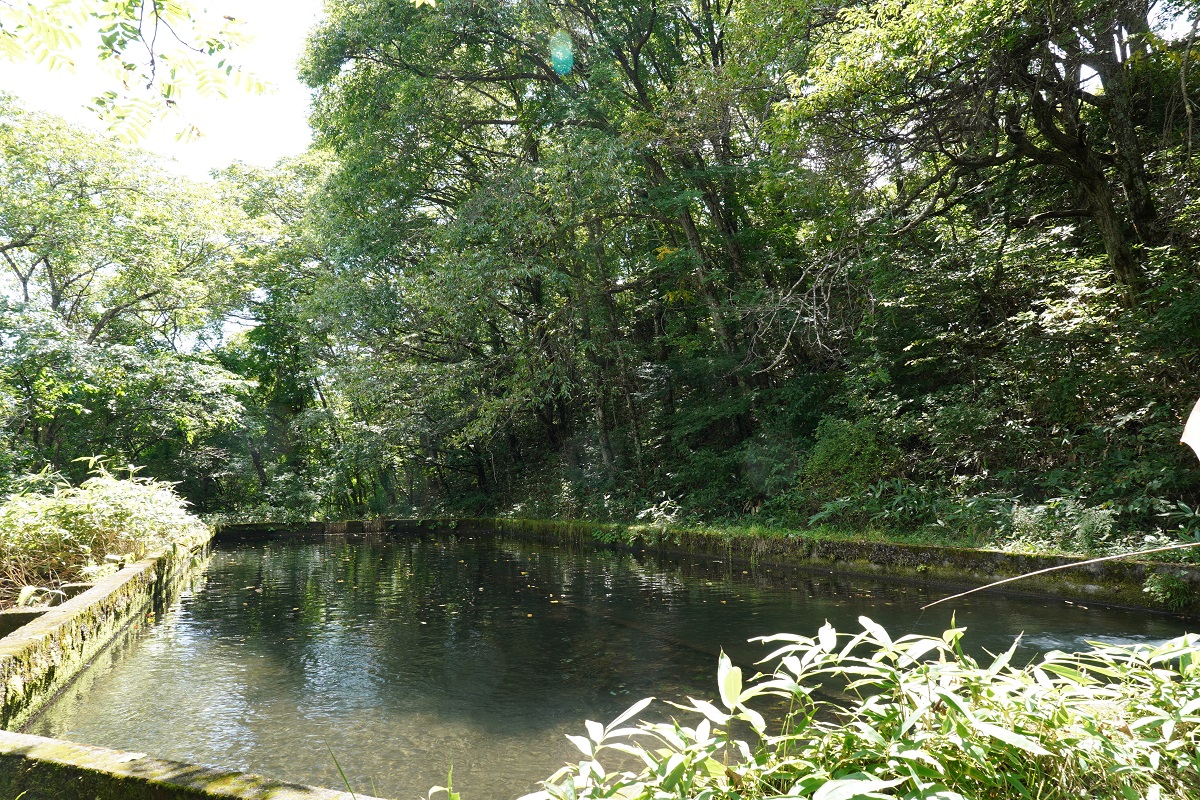 釣り堀の画像08