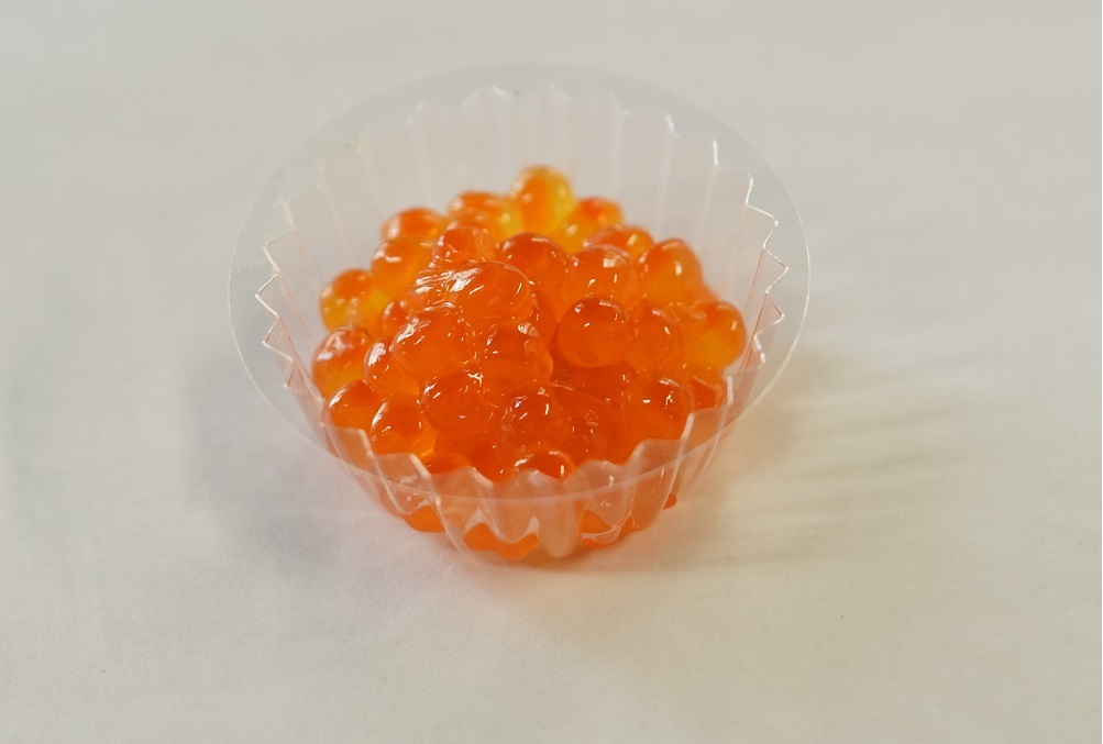 釣った魚の画像10