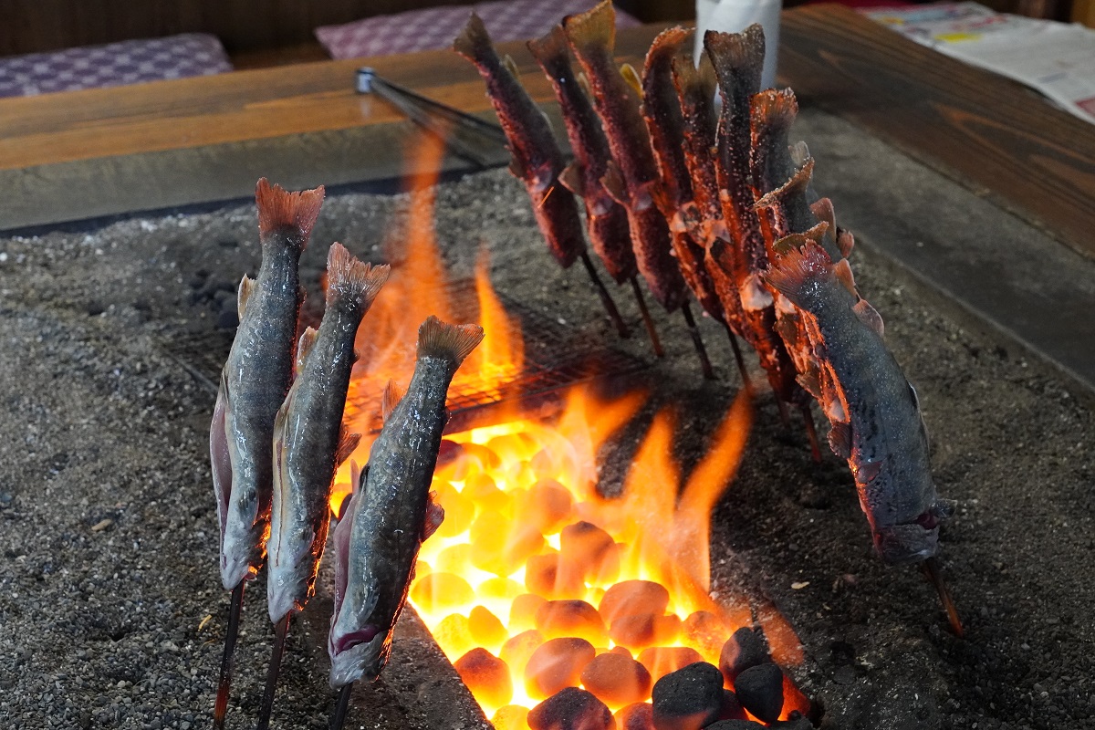 釣った魚の画像14