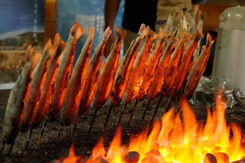 釣った魚の画像15